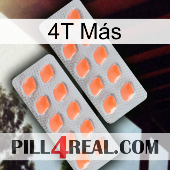 4T Más 27.jpg